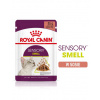 Royal Canin Sensory Smell gravy 12 x 85 g