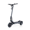 Teverun Fighter Mini Pro