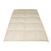 Prikrývka antialergická - Kołdra puchowa 100x140 całoroczna Produkt Polski (Prikrývka antialergická - Kołdra puchowa 100x140 całoroczna Produkt Polski)