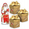 Súprava Lindt Mikuláš z mliečnej čokolády Pralinky LINDOR cube assorted 350g