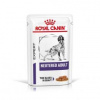 ROYAL CANIN VHN Neutered Adult Dog 12 x 100 g