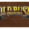 Gold Rush! Anniversary PC Steam CD Key