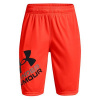 UA Prototype 2.0 Logo Shorts-ORG - UA Prototype 2.0 Logo Shorts-ORG | 1361817-296 | YLG