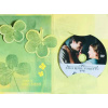 Sága rodu Forsytů 6 - DVD /dárkový obal/