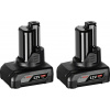 Bosch 2x GBA 12V 6.0 Ah 1.600.A00.X7M