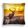 Vankúš - Vankúš zw 13 jeleň na Roar Sunrise Sunrise (Veľký vankúš 50*50 ZW 13 Jeleň v koľaji)