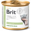 Brit Diety (VAFO Praha s.r.o.) Brit GF Veterinary Diet Cat Cans Diabetes 200g