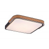 Rabalux ARILD LED SMART stropné svietidlo 71146