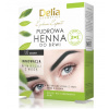 Delia Cosmetics Eyebrow Expert tónovacia farba na obočie 1.0 Black 4 g