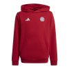 Adidas Bayern Munich Jr IT4134 sweatshirt (199151) NAVY 152