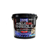 USN Muscle Fuel Anabolic 4000 g banán