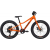 Cannondale Kids Trail Plus 20