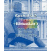 Sochařské Brno 1989–2019 | oráček Radek, kolektiv autorů