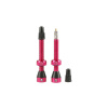 Tubolight Valves 50 2 Pack 50 mm