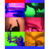 Carolee Schneemann - Ron Hanson
