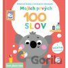 Mojich prvých 100 slov: Svet okolo mňa - YoYo Books