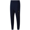 Pánske nohavice Reebok WOR Fleece Pant - Modrý (XL)