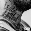 Wild - Wild At Heart / Digipack [CD]