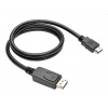 OEM Kabel C-TECH DisplayPort/HDMI, 1m, černý CB-DP-HDMI-10 C-Tech