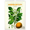NOTIQUE Nástenný kalendár Vintage posters – herbarium (Vintage plagáty – herbár) 2026 - Notique