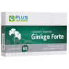 PLUS LEKÁREŇ Ginkgo Forte tbl 1x60 ks