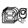 Tesnenie na kosačky - Briggs & Stratton 450 500 Trieds Gaskets Set (Briggs & Stratton 450 500 Trieds Gaskets Set)