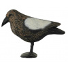 Záhradný plašič Havran, na vtáky (31 x 13 x 14cm)