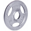 inSPORTline Hamerton Liatinový kotúč 1,25 kg 30 mm