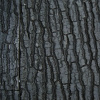 Juwel STR 600 pozadie
