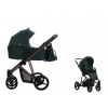 BEBETTO Flavio Choco 12 2024