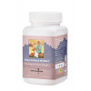 Nápoj čínskych MUDRcov - TCM Herbs Objem: 100 g