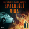 Spalující vina - 1. díl