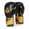 BUSHIDO Boxerské rukavice DBX B-2v10 - 16oz.