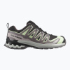 Dámske bežecké topánky Salomon XA PRO 3D V9 GTX black/patina green/gray violet