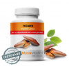Mycomedica, REISHI 50% medicinálna huba, 90 kapsúl (Medicinálna huba)