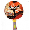 Pálka na stolní tenis ITTF KARATE 4 STARS GIANT DRAGON