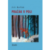 Pražák v poli - Koflák Jiří