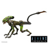 NECA Aliens: Fireteam Elite - akčná figúrka - Burster Alien