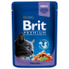 Brit Premium (VAFO Praha s.r.o.) Brit Premium Cat kapsa with Cod Fish 100g