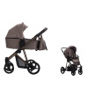 BEBETTO Flavio Choco 18 2024