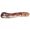 LK Baits Pet Hovädzia Priedušnica 30cm, 90g