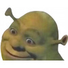 CUKROVÁ TLAČ jedlý obrázok na tortu Cukrová hmota Shrek + MENO TEXT