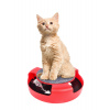CHOMIK HRAČKA PRE MAČKU S MYŠOU 25 x 25 x 7 CM *0526