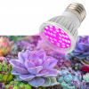 HIBRIGHT PROFI LED žiarovka pre všetky rastliny 6W, E27, High-power+, ružová