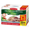 Terezia Company Hliva Ustricová + lactobacily 60+60 kapsúl