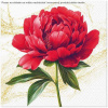 Obrúsky 33x33cm 20ks Scarlet Flower Study