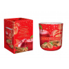 BARTEK Christmas Fruit Garden Apple & Cinnamon 150g - sviečka v skle