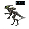 NECA Aliens: Fireteam Elite - akčná figúrka - Spitter Alien
