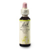 bachova esence č. 37 WILD ROSE-Planá šípková růže (originální bachovy esence z Anglie - vyráběno od roku 1939 - balení kapky 20 ml ve skle s kapátkem, konzervováno v alkoholu 27 %)
