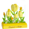 Koco mini Tulipány 8592190801854